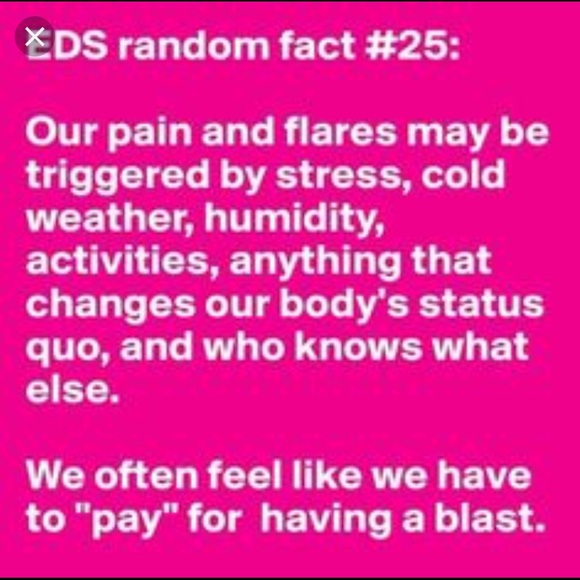 🦓 I am a Zebra 🦓 - Picture 4 of 8